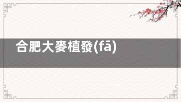 合肥大麥植發(fā)靠譜沒黑料！醫(yī)院植發(fā)設(shè)備新|醫(yī)生植發(fā)技術(shù)好|價(jià)格公道|好評(píng)多